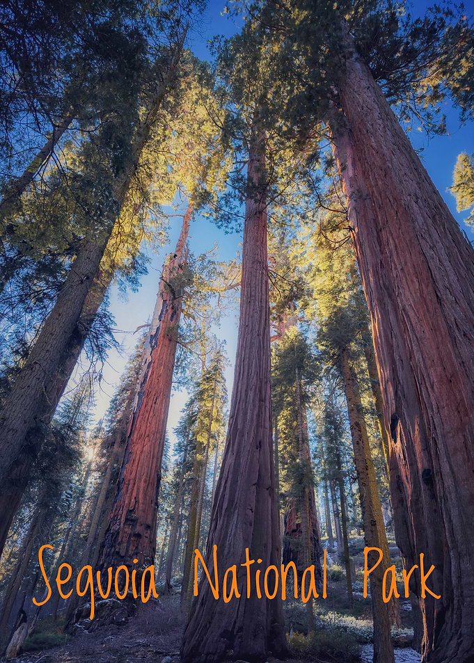 Sequoia National Park