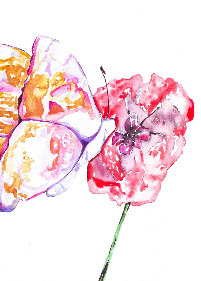 Abstract Butterfly and Poppy