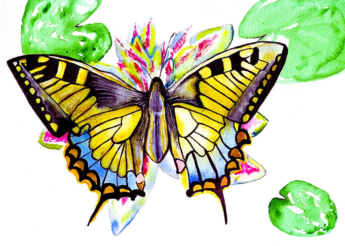 Butterfly on Flower