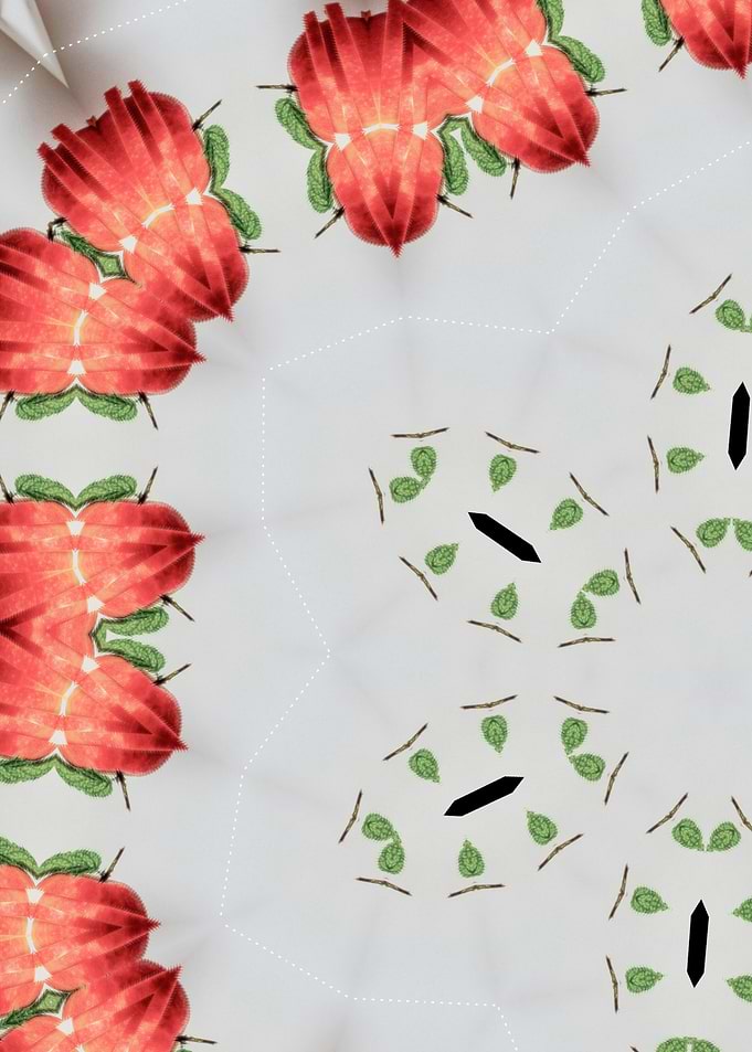 Red Fruit Kaleidoscope