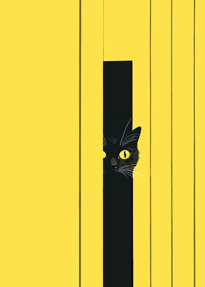 Black Cat Peeking