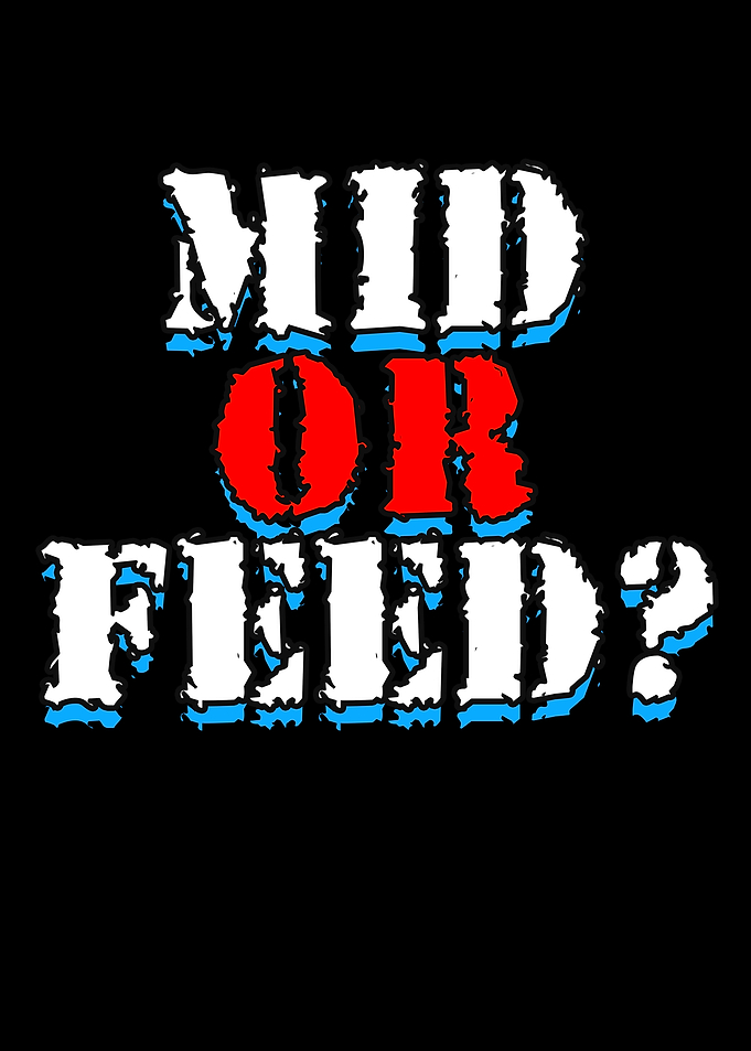 Mid Or Feed Gaming Humor
