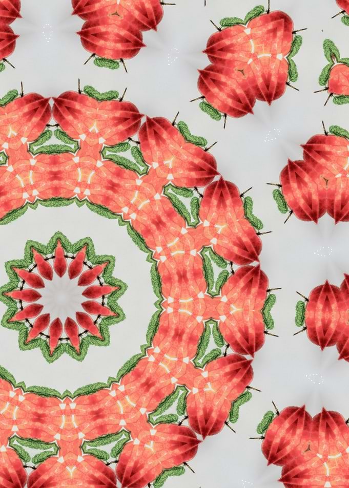 Red and Green Kaleidoscope