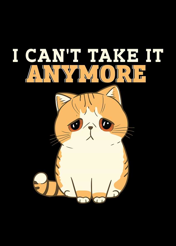 I Can't Take It Anymore
