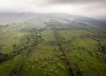 Aerial View of Lush Green Hills