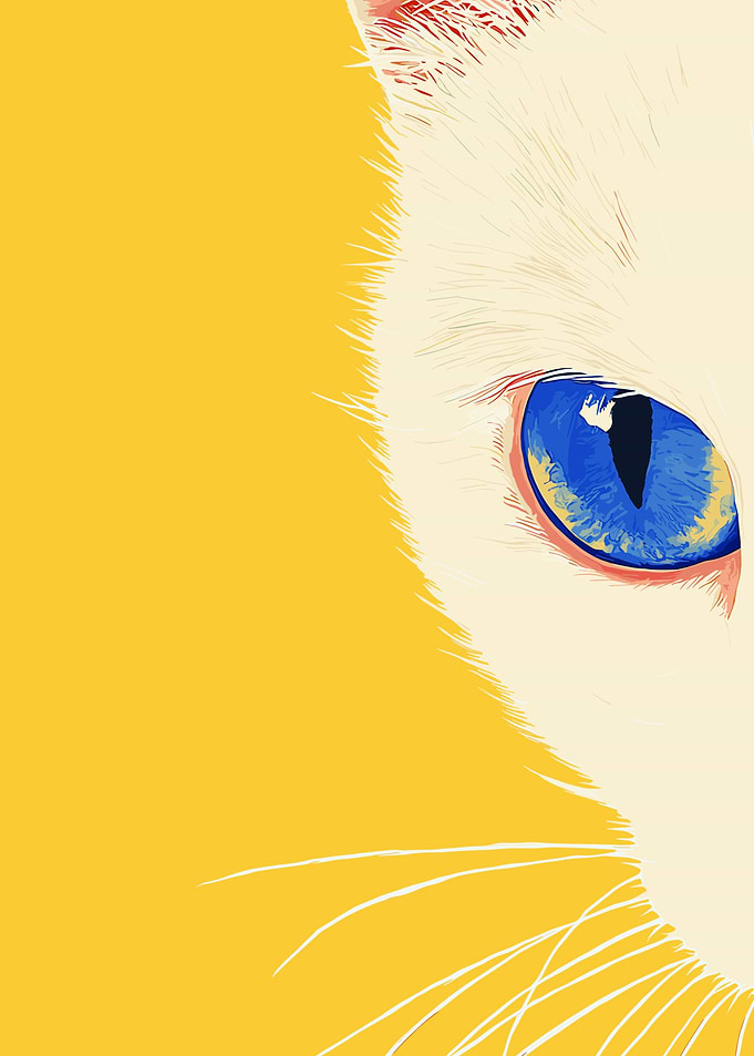 Cat Eye Close-Up
