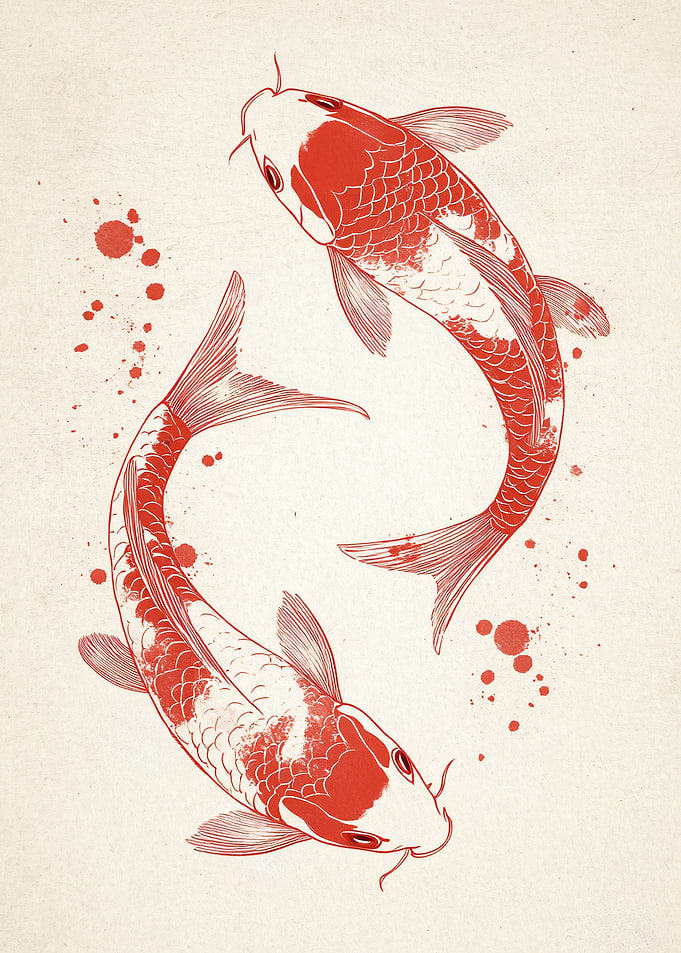 Red Koi Fish Illustration