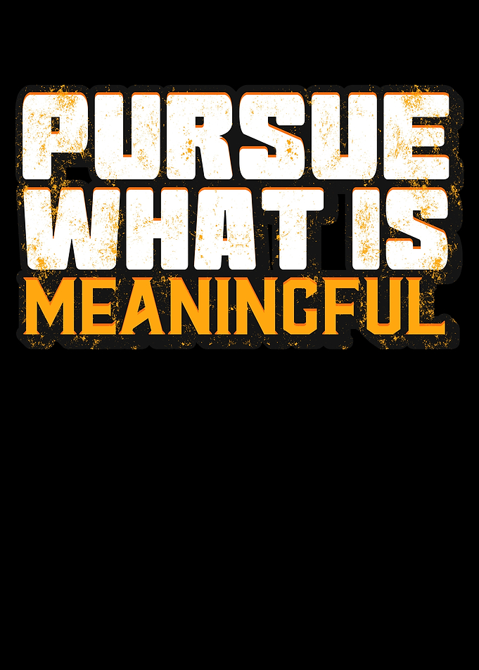 Pursue What Is Meaningful