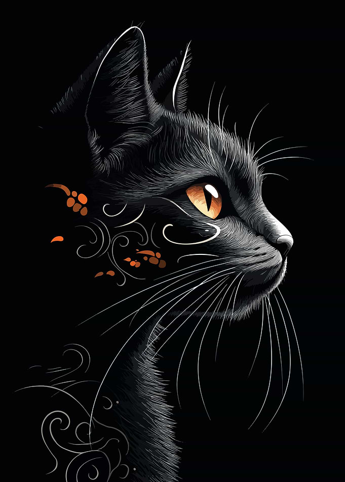 Black Cat with Orange Eye