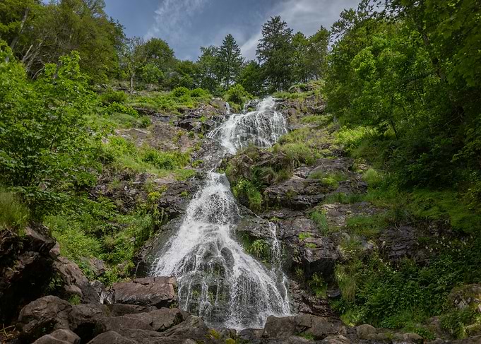 Waterfall in Lush Forest