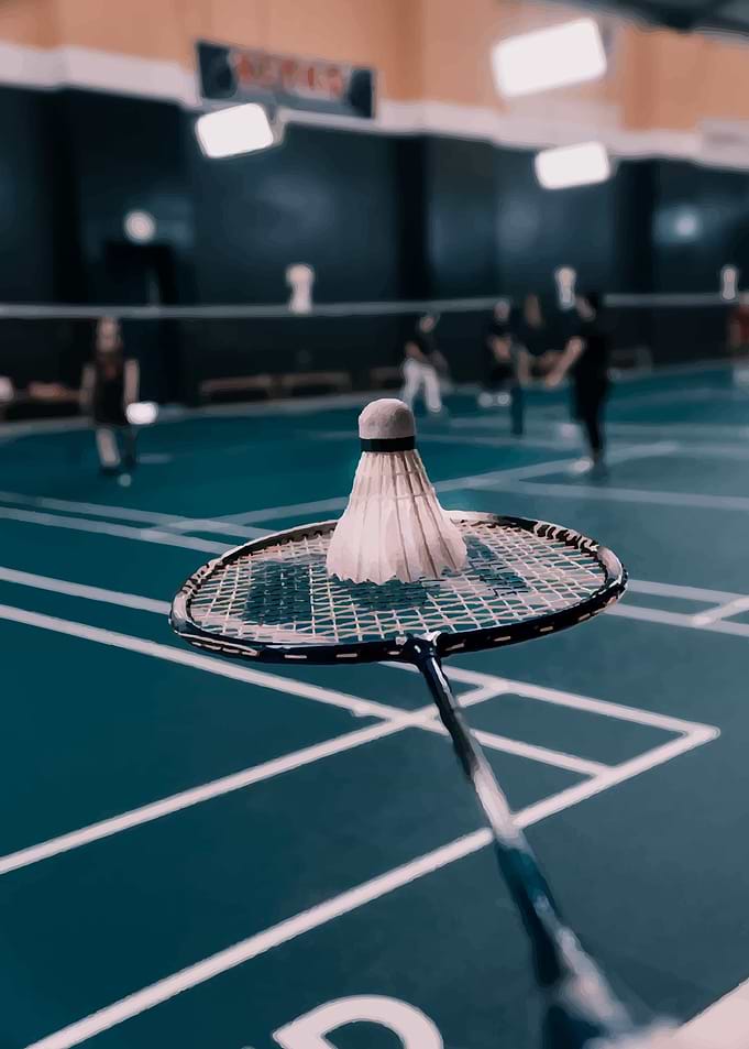 Badminton Racket and Shuttlecock