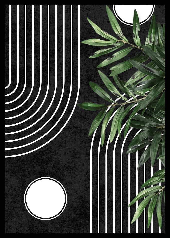 Black and White Abstract Art
