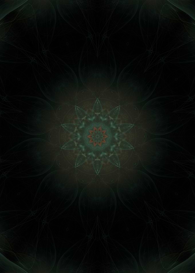 Mysterious Blooms