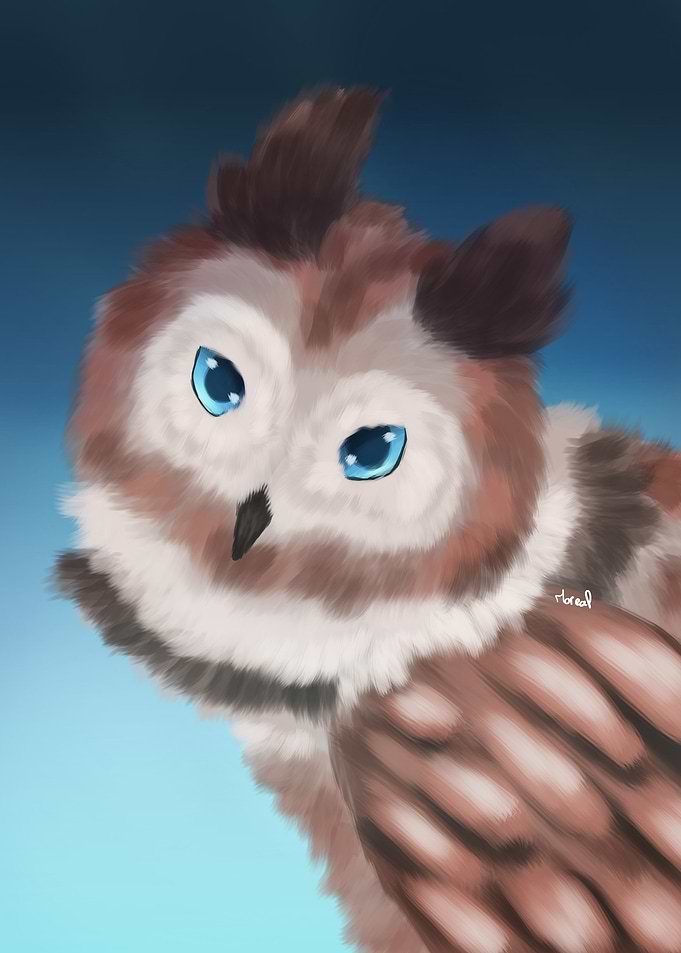 Cute Owl Portrait