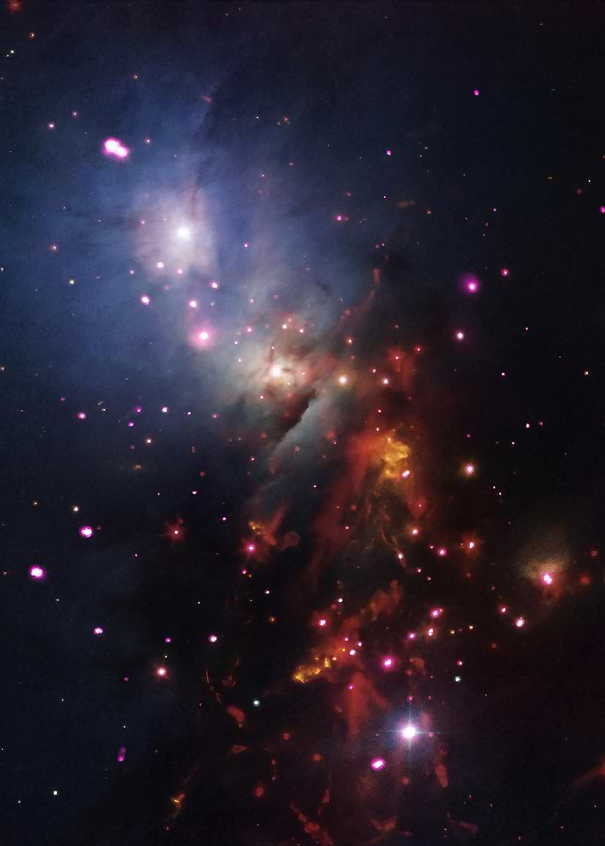 Violet Stars
