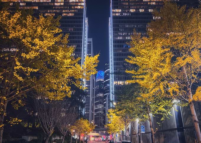 Cityscape with Golden Trees