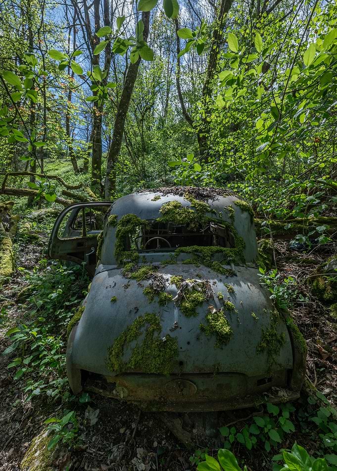 Rusty Car in Forest