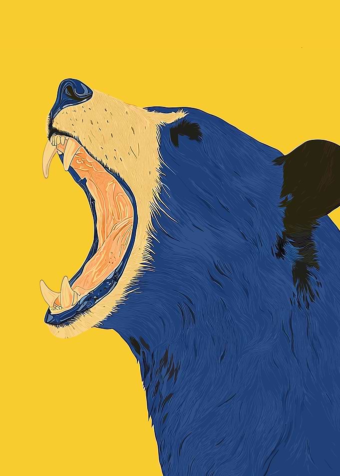 Blue Bear Roar