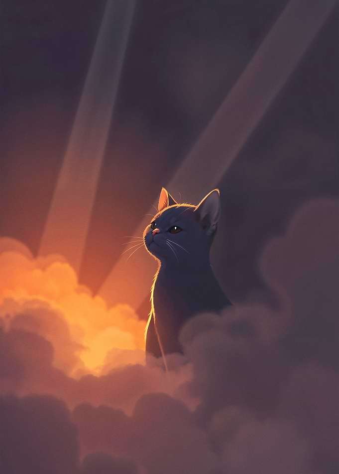 Cat in the Clouds