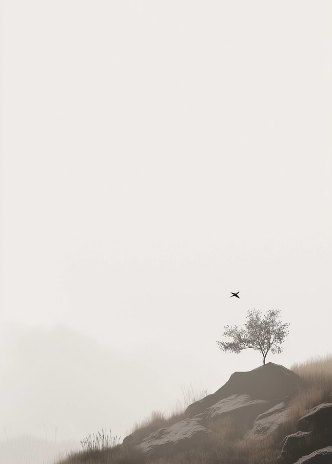 Solitary Tree in Mist