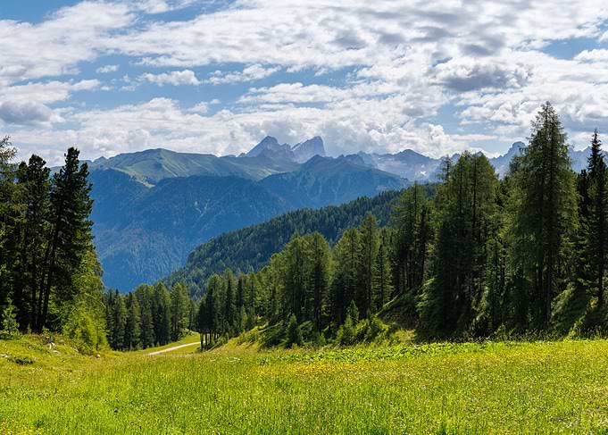 Mountain Meadow Landscape - Val di Fassa in Italy