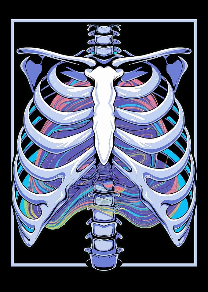 Ribcage