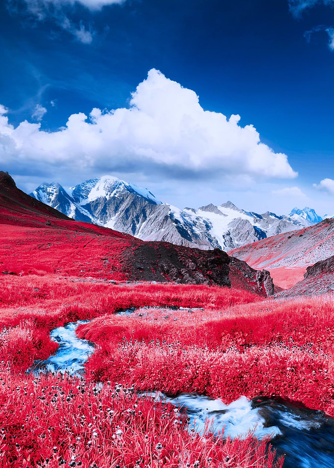Mountain Stream