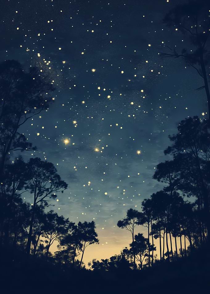 Starry Night Forest