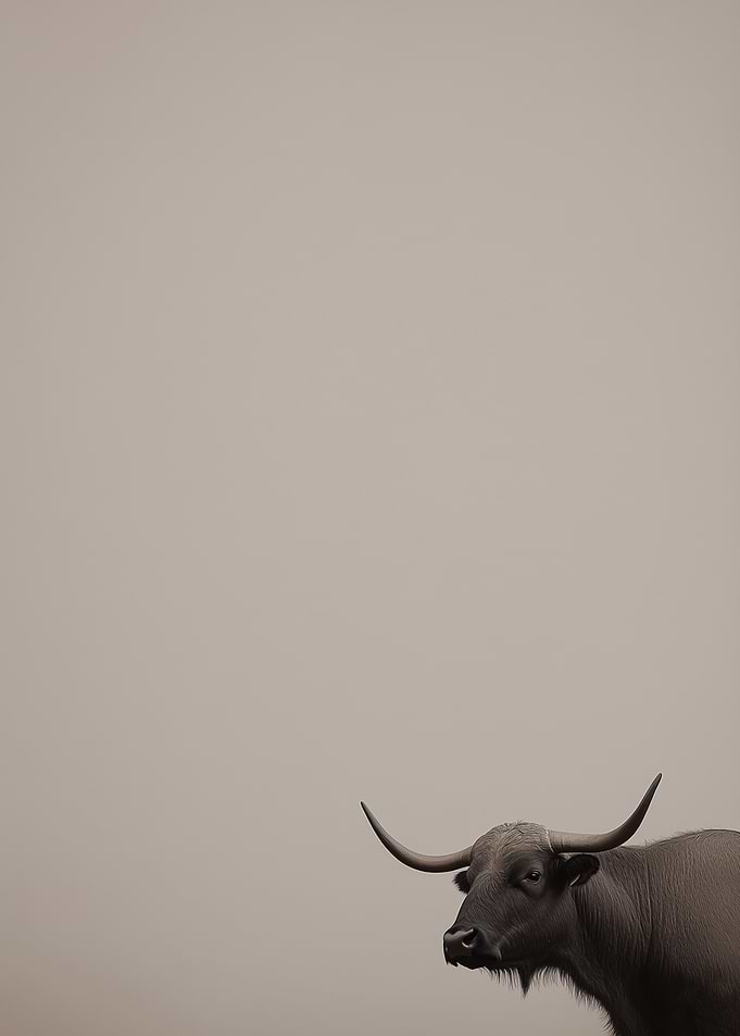 Water Buffalo Portrait