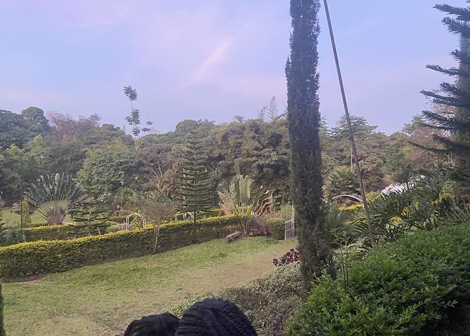 Green Garden View
