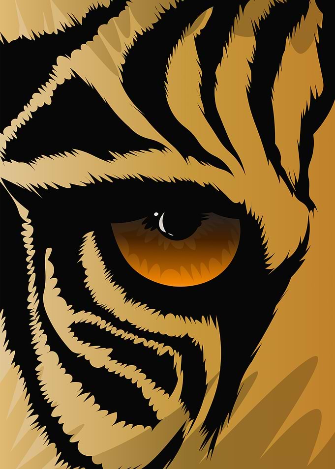 Tiger Eye Close-Up