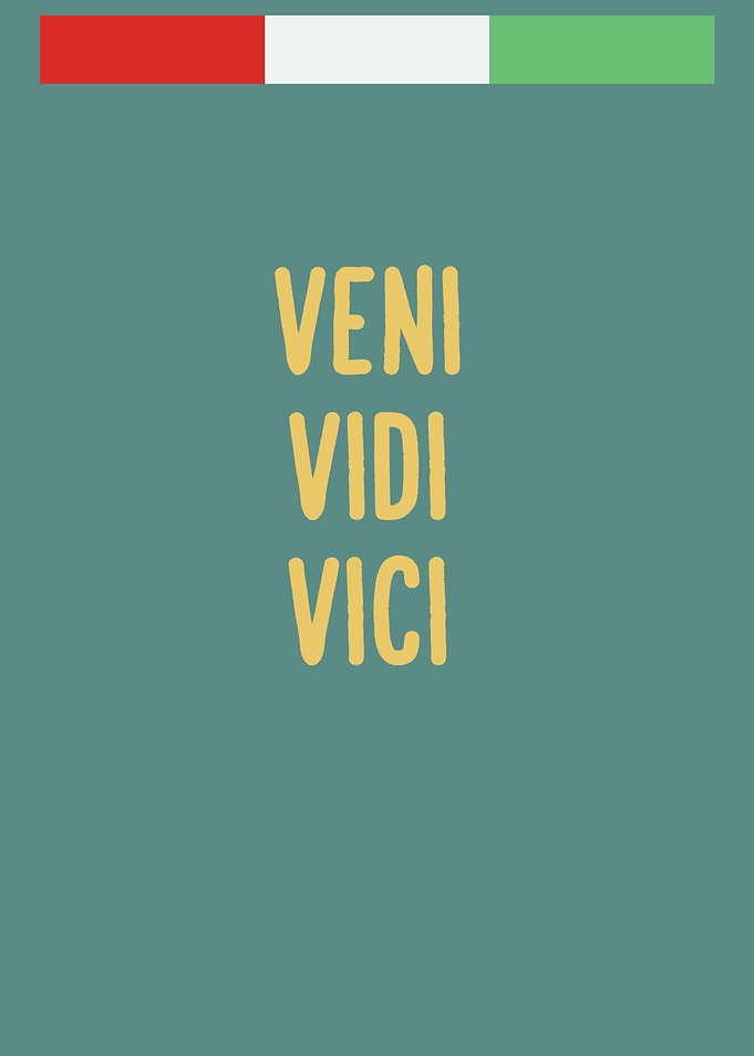 Veni Vidi Vici Poster