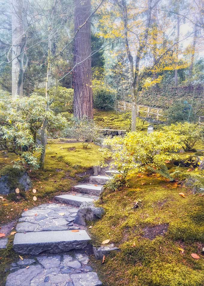 Stone Path in a Mossy Forest