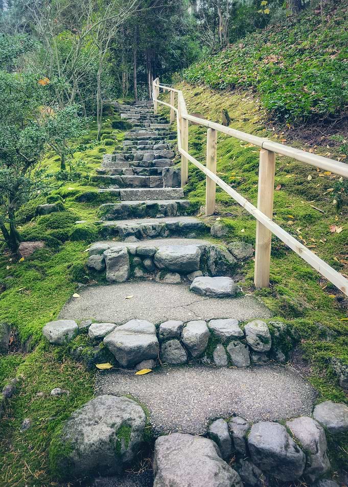 Stone Steps in a Garden