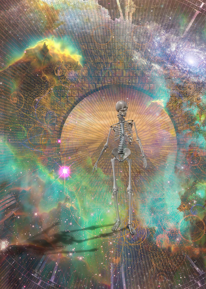 Skeleton in Cosmic Space