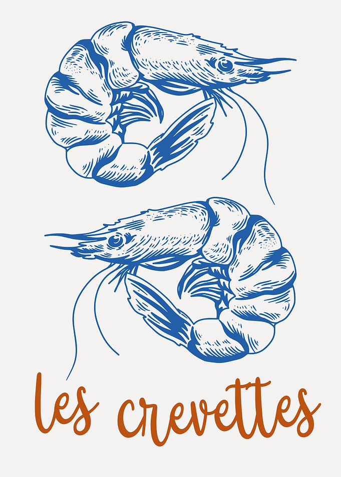 Vintage Style Shrimp Illustration