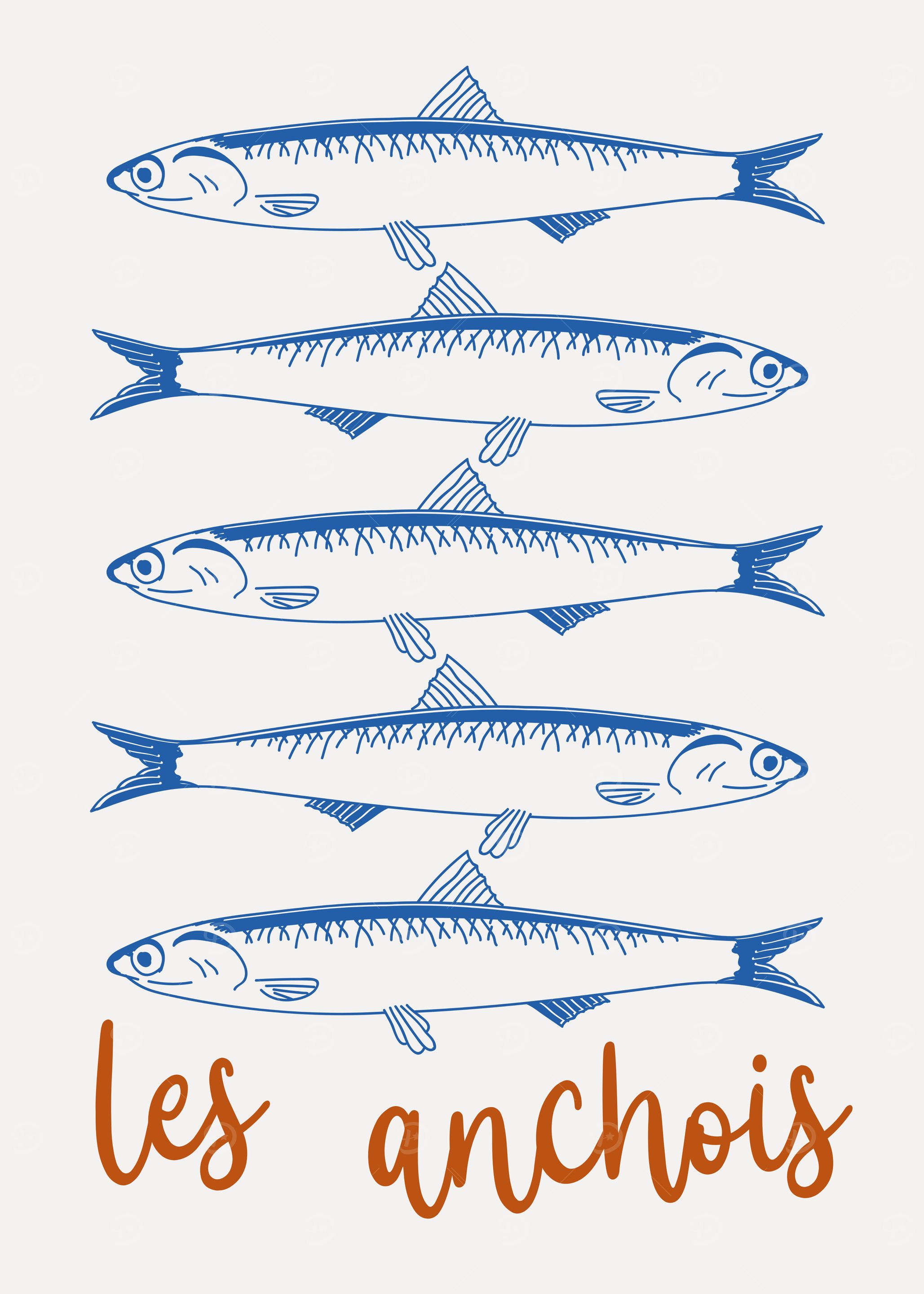 Anchovy Illustration