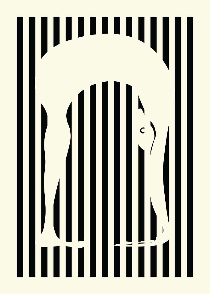 Silhouette in Stripes