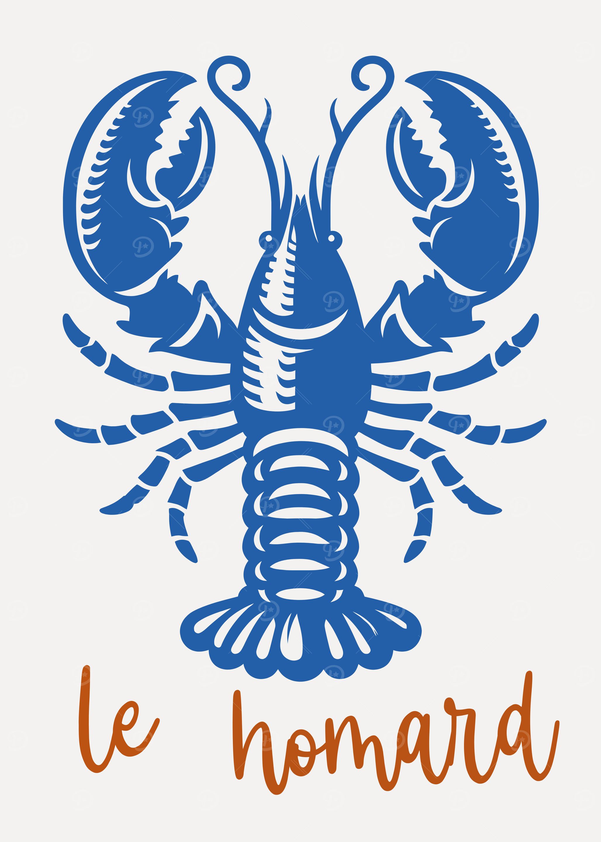 Blue Lobster Illustration