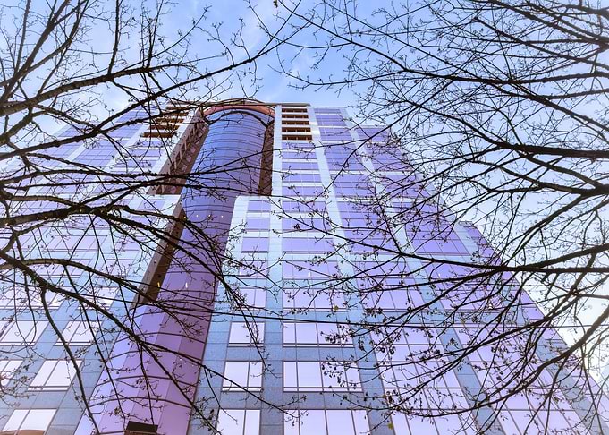 Modern Building Through Branches