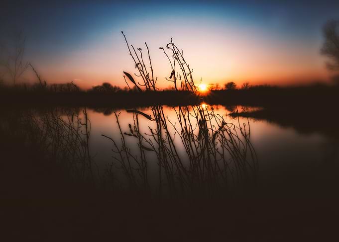 Iowa Wetland Sunset