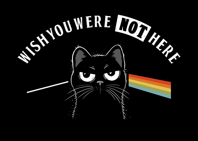Cat Wish You Were Not Here