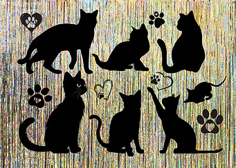 Black Cat Silhouettes