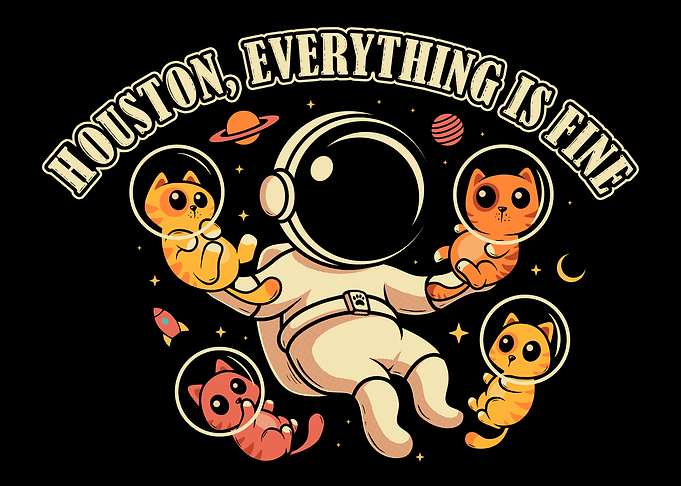 Houston, Everything is Fine