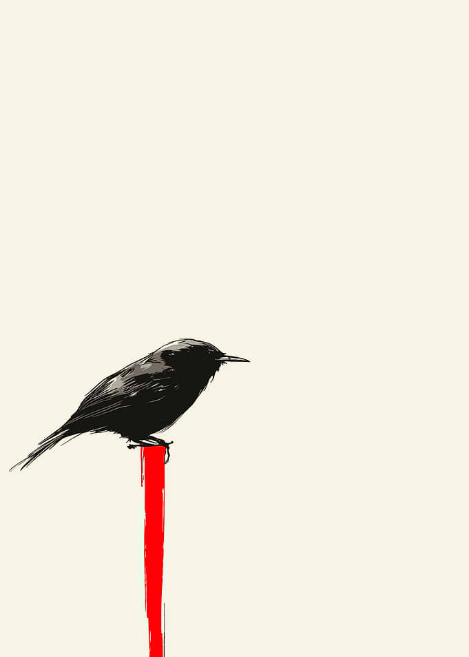 Black Bird on Red Pole