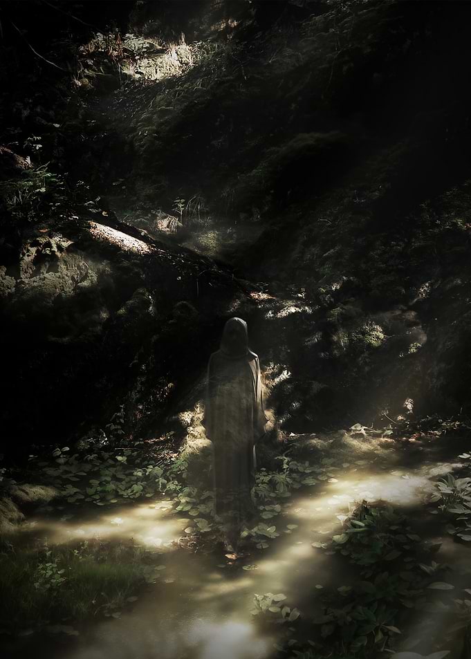 Shrouded Mystery in the Forest