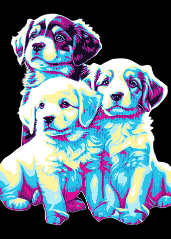 Three Puppies in Neon