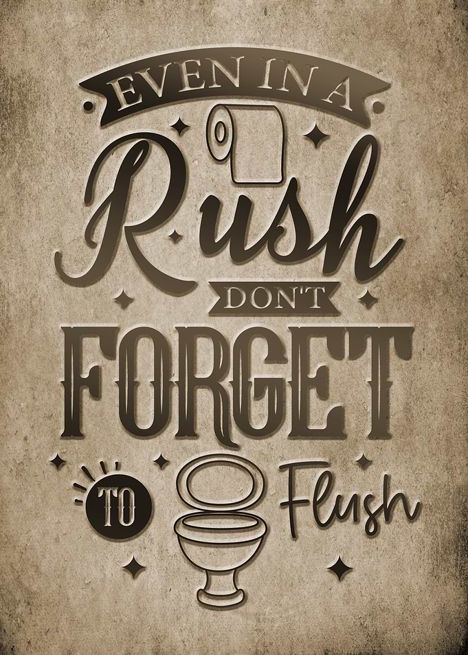 Flush Reminder Poster