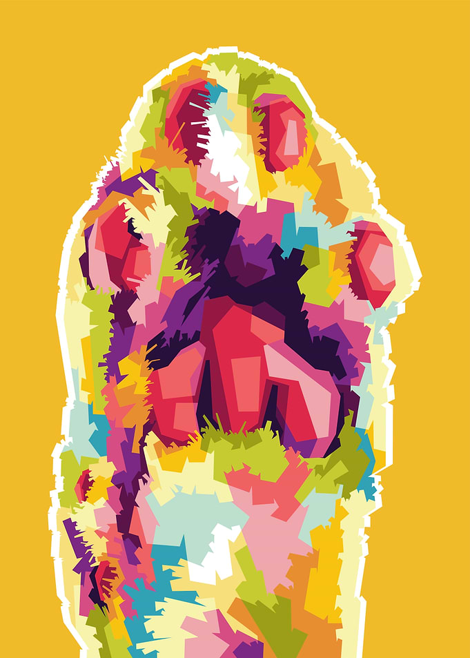 Colorful Cat Paw Print