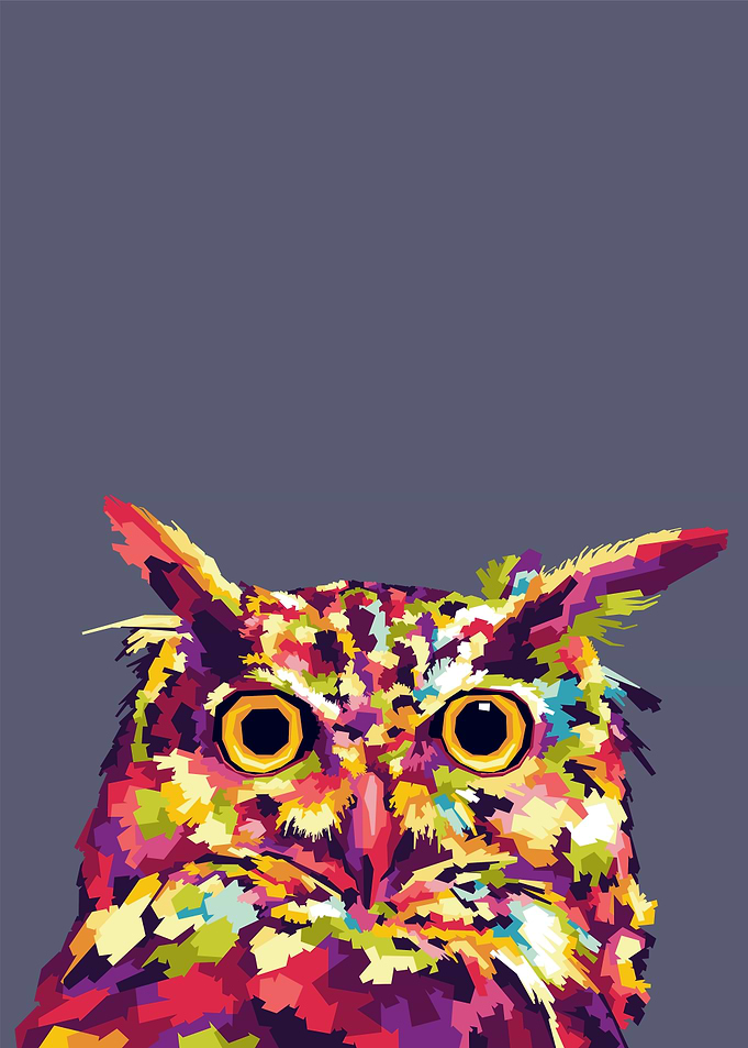 Colorful Owl Portrait